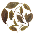 Iliós First Pick Spring Oolong