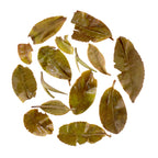 Darjeeling Flowery Orange Pekoe