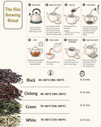 Iliós Hand-Rolled Oolong Tea