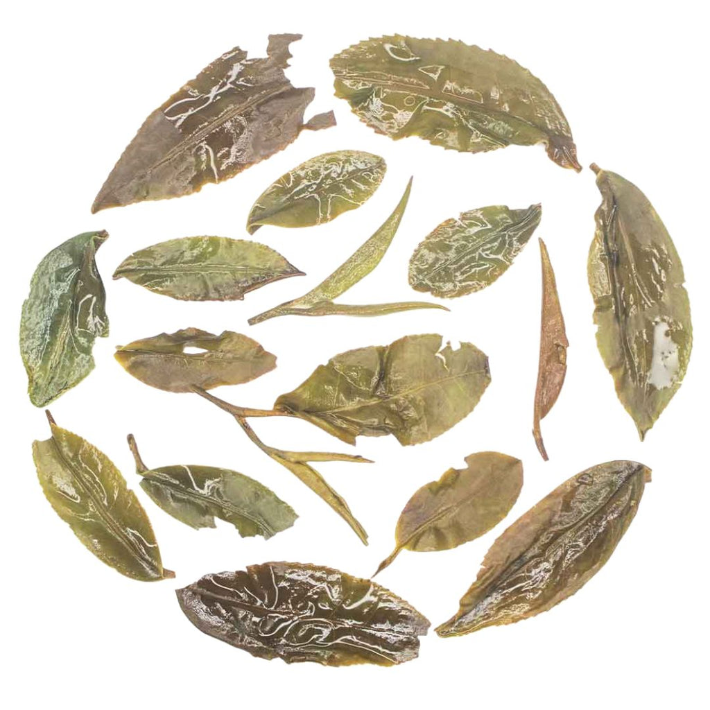 Iliós Sun-Kissed Nectar Oolong