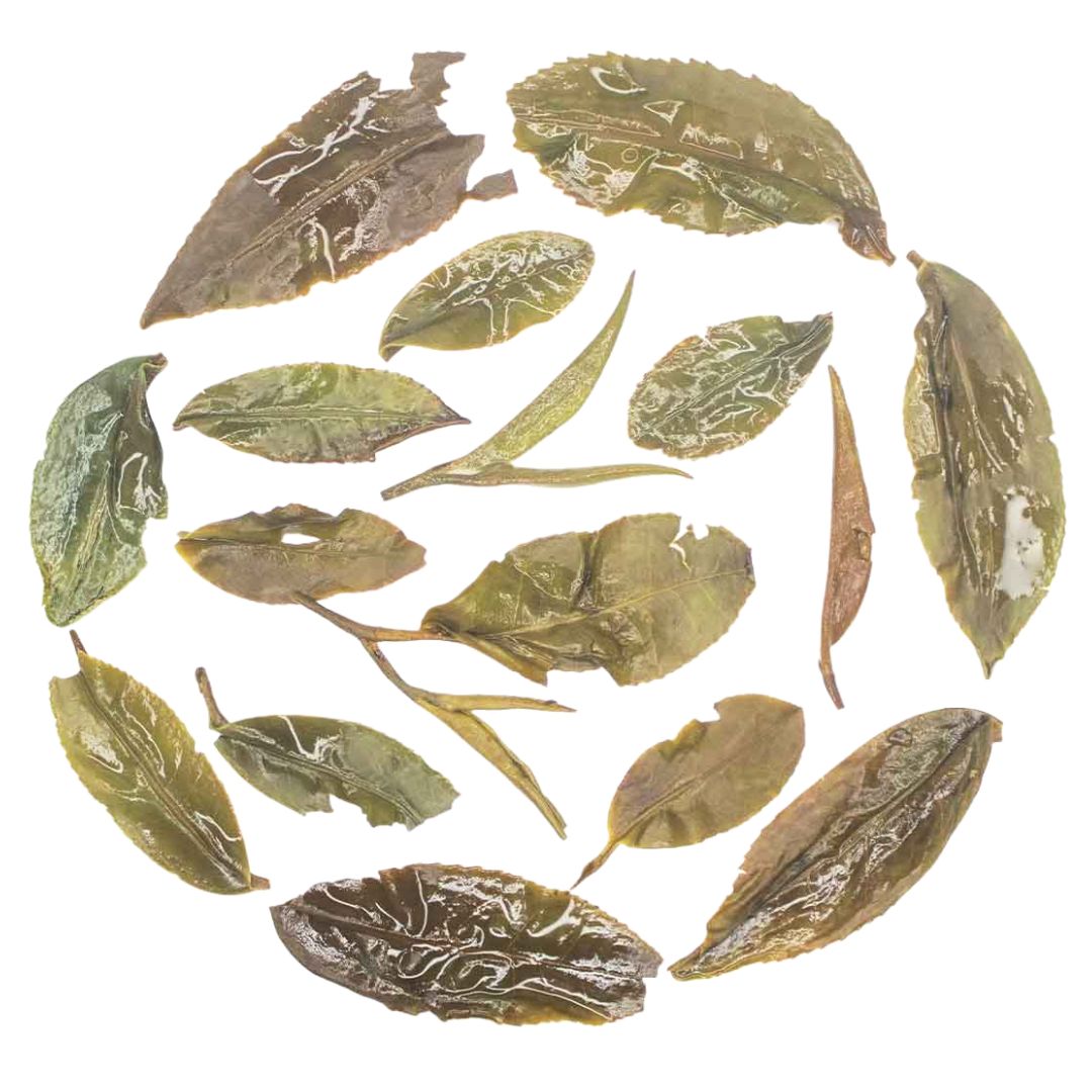 Iliós Sun-Kissed Nectar Oolong