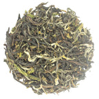 Iliós Sun-Kissed Nectar Oolong