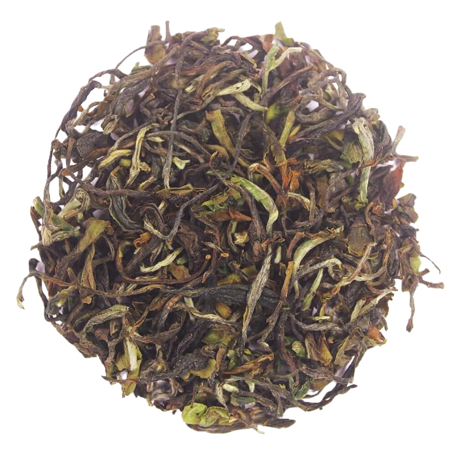 Iliós First Pick Spring Oolong