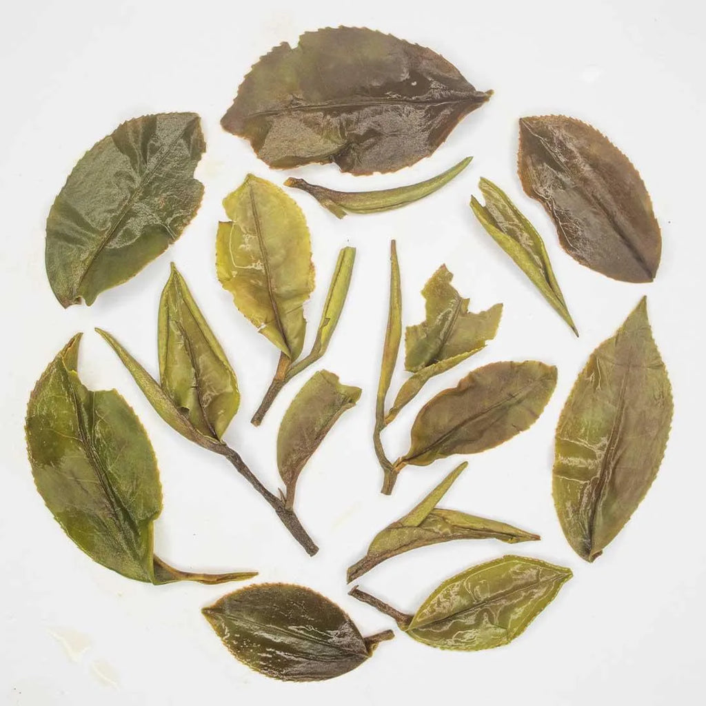 Iliós Chinary Oolong Tea