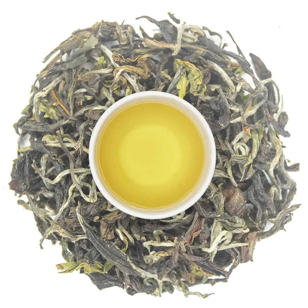Iliós Hand-Rolled First Flush Oolong Tea