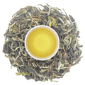 Iliós Hand-Rolled First Flush Oolong Tea
