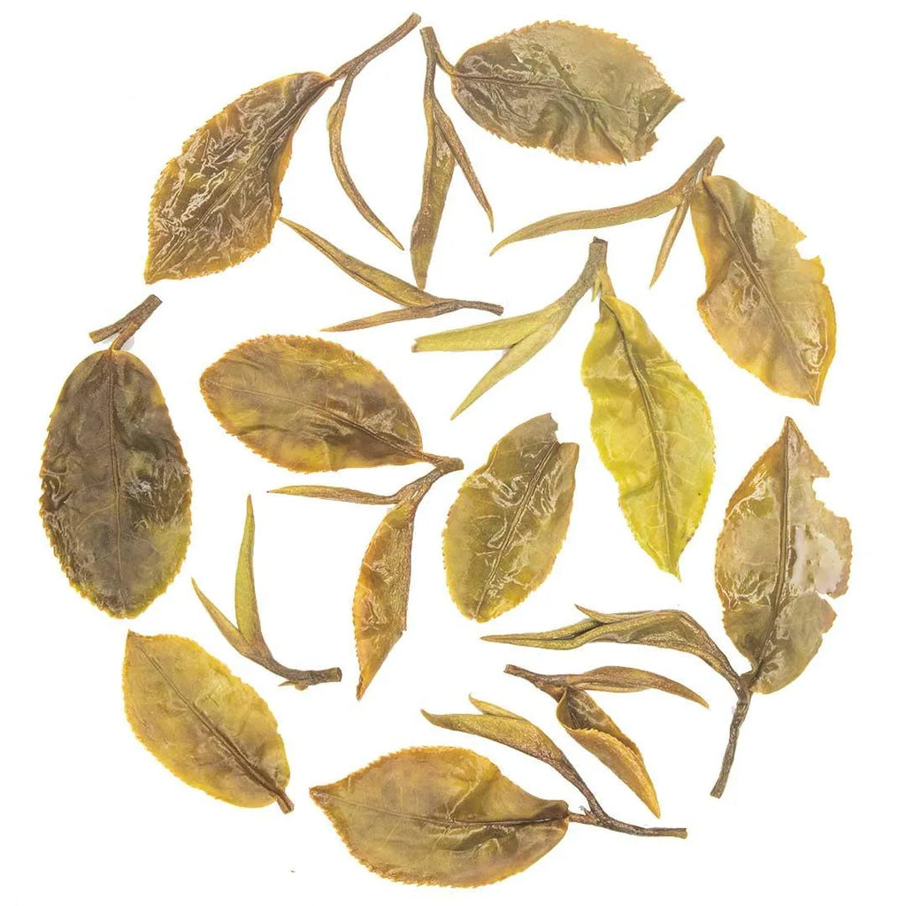 Iliós Hand-Rolled First Flush Oolong Tea