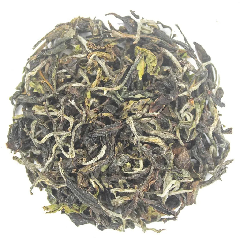 Iliós Hand-Rolled First Flush Oolong Tea