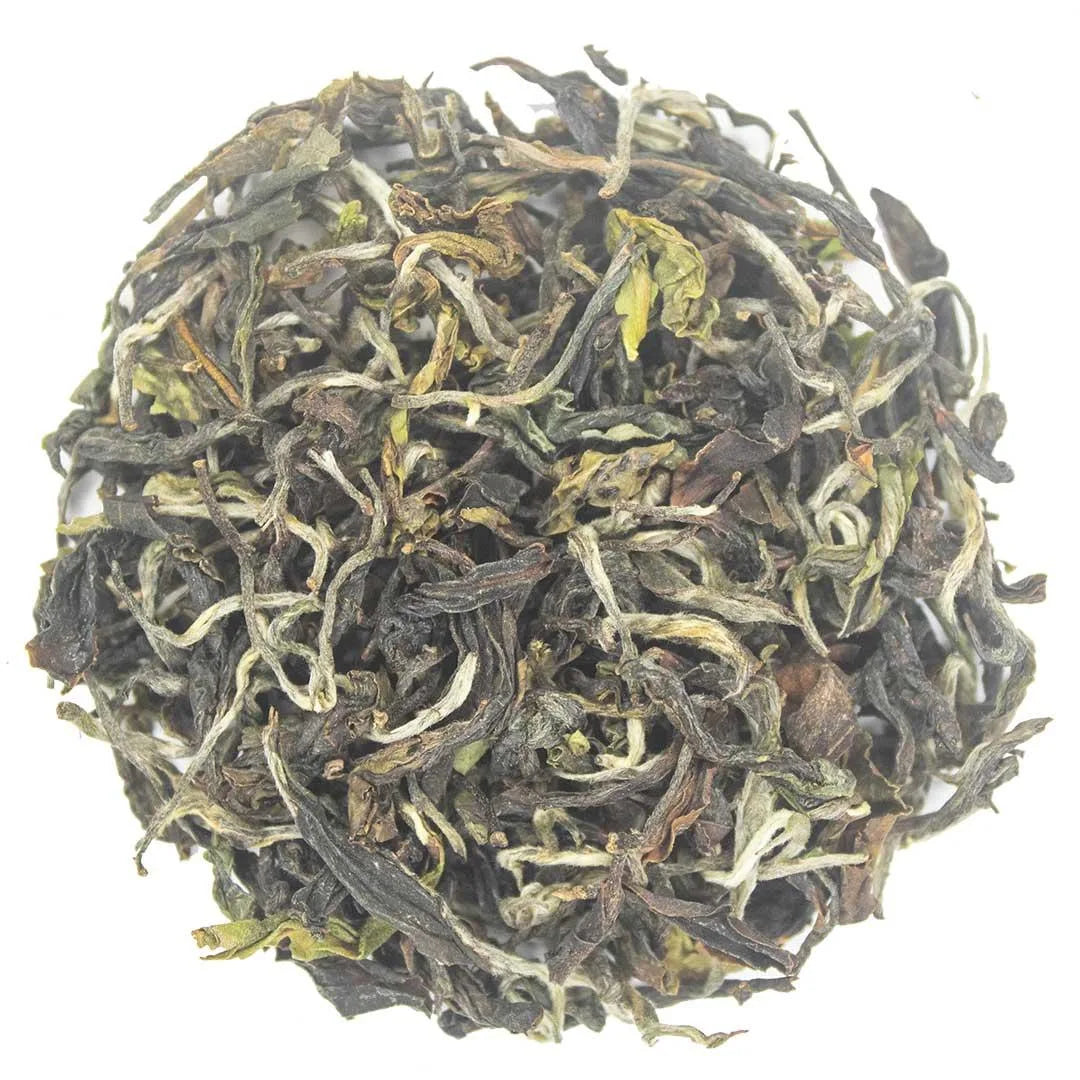 Iliós Hand-Rolled First Flush Oolong Tea
