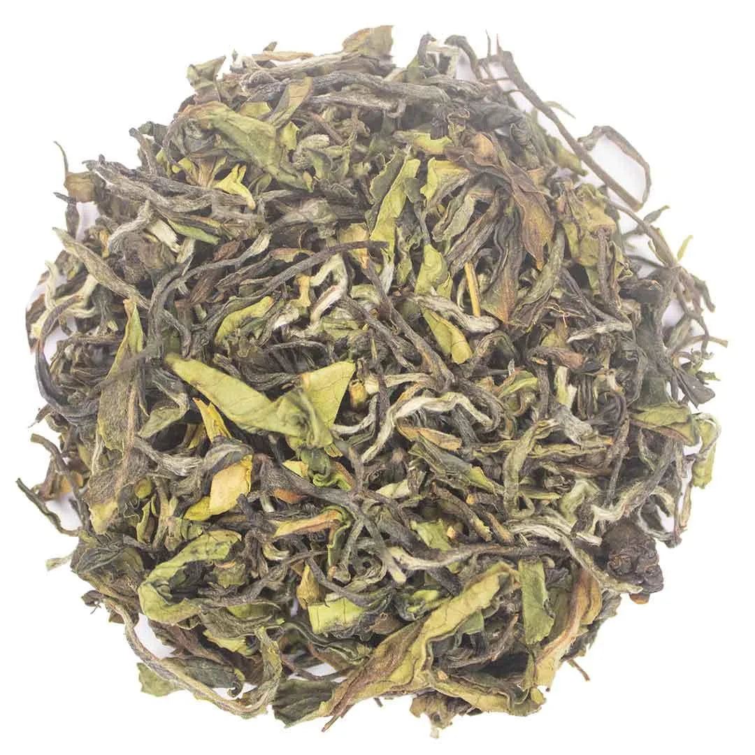 Iliós Aurora Oolong