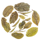 Iliós Aurora Oolong