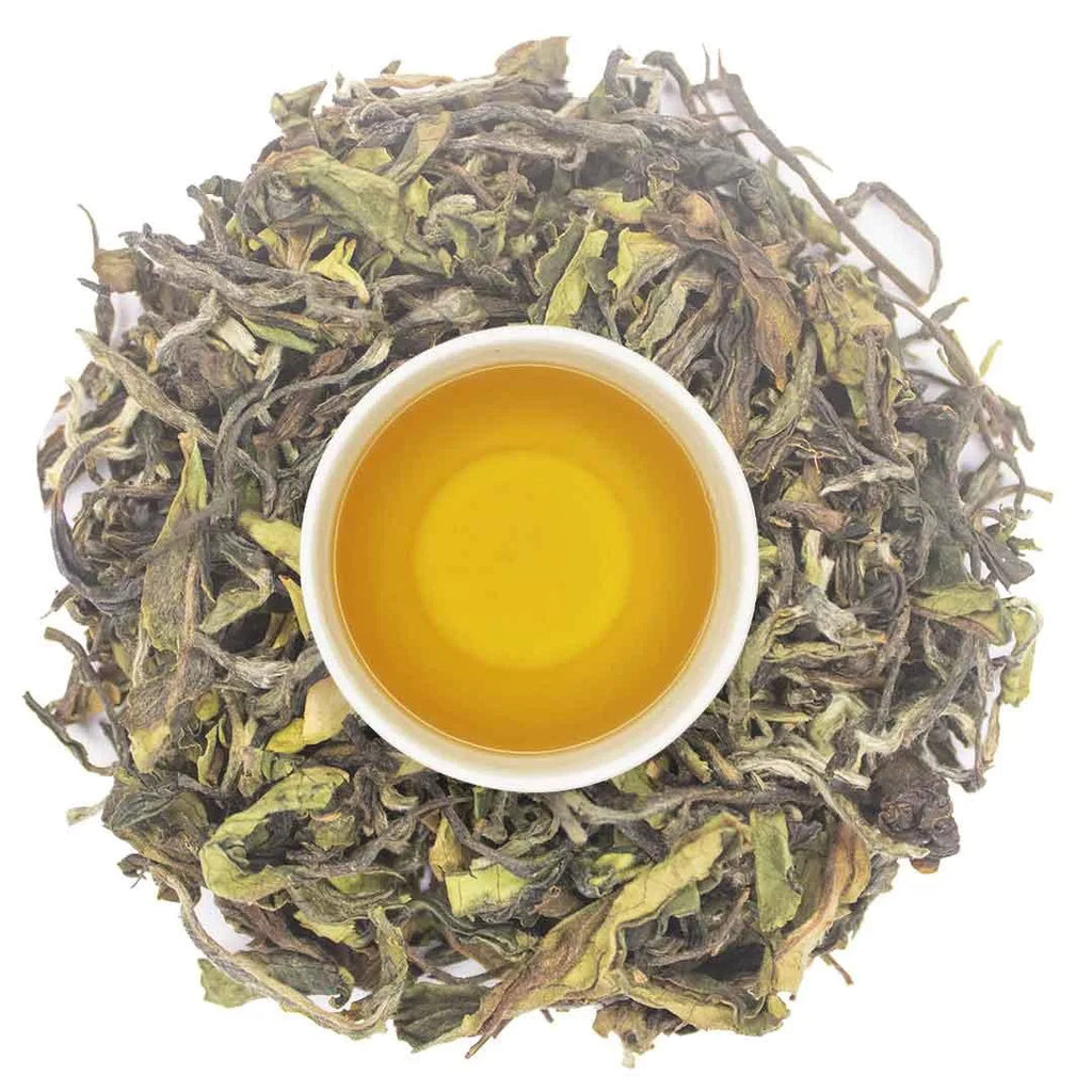 Iliós Aurora Oolong
