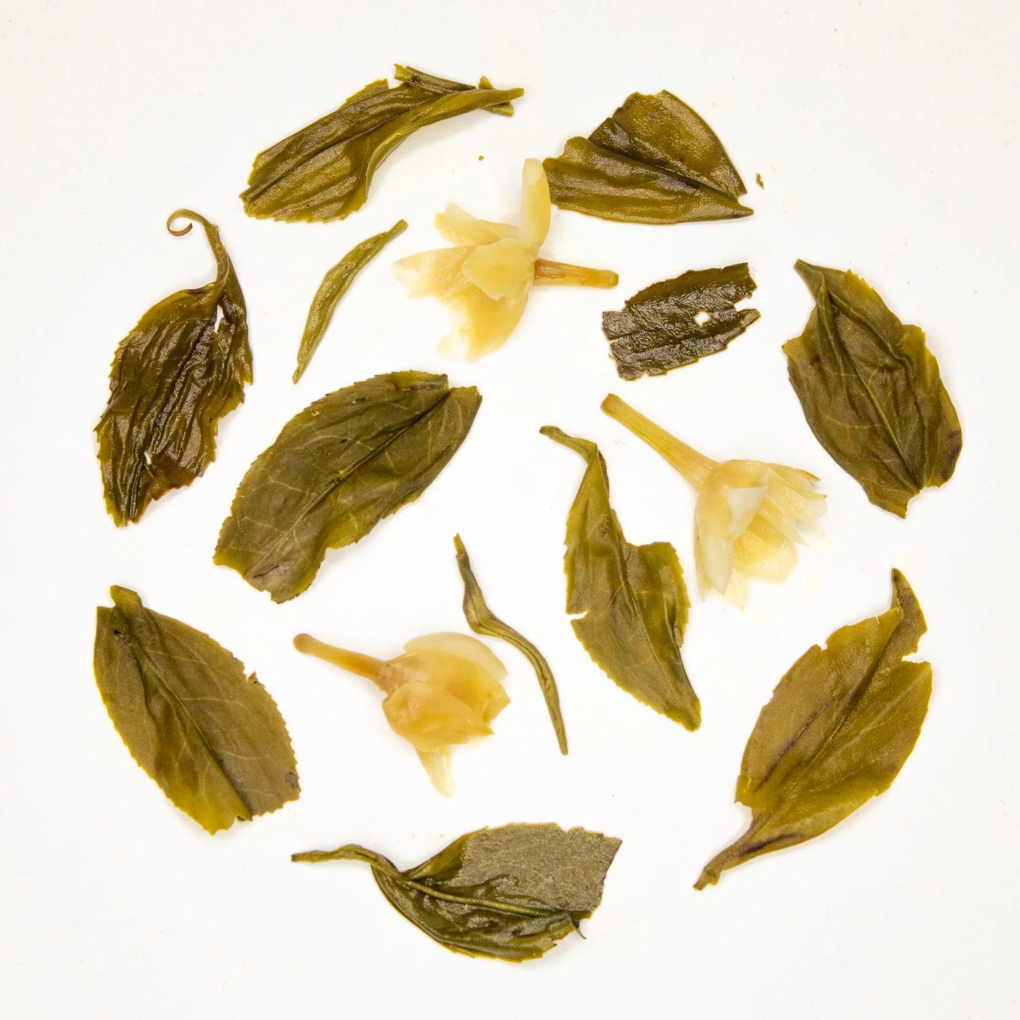 Darjeeling Jasmine Green Tea