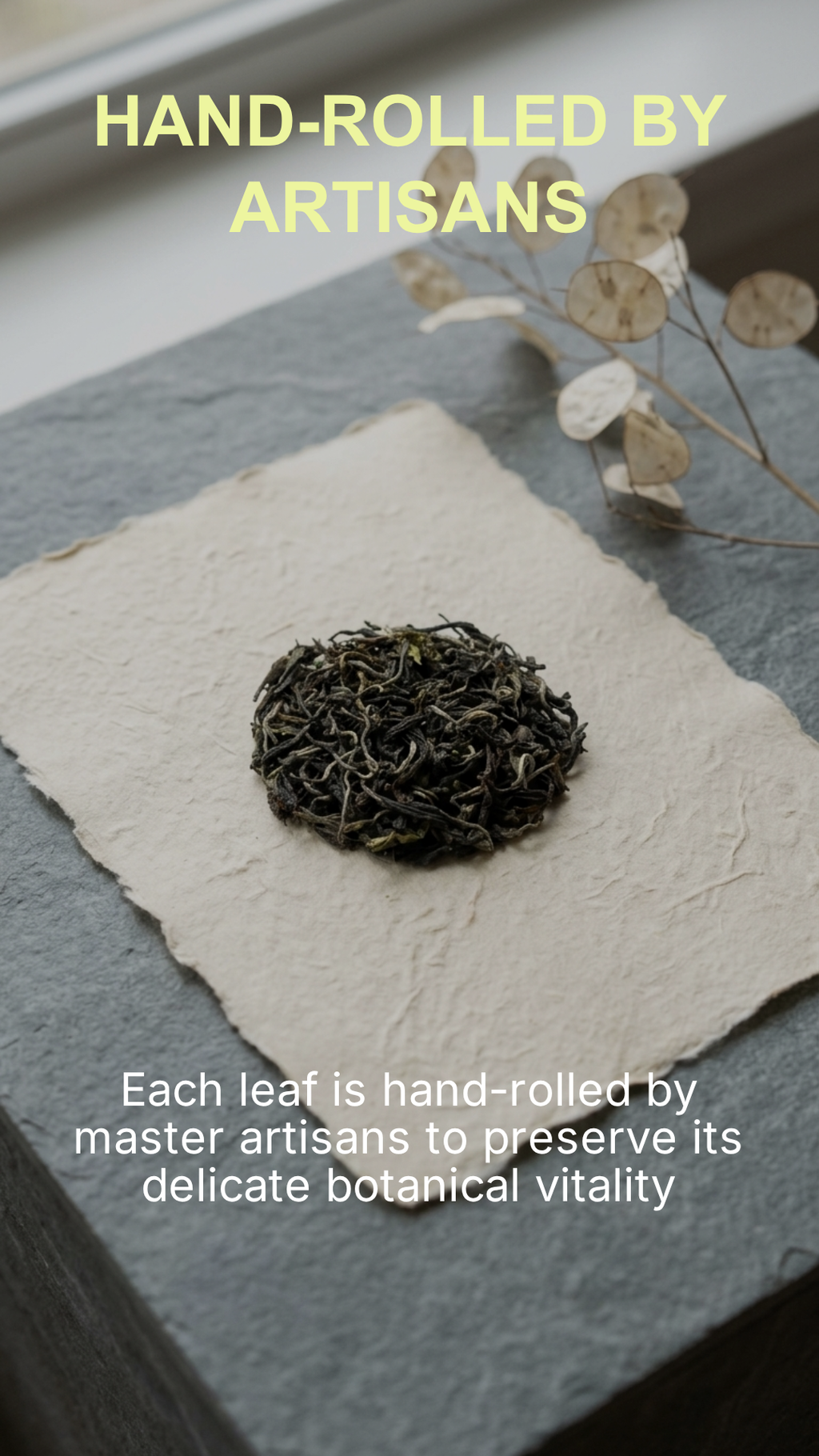 Iliós Hand-Rolled Oolong Tea