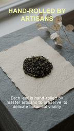 Iliós Hand-Rolled Oolong Tea