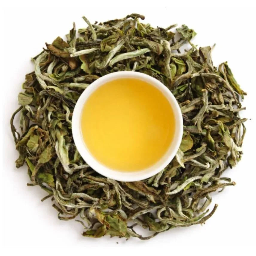 Iliós Bai Mu Dan White Tea