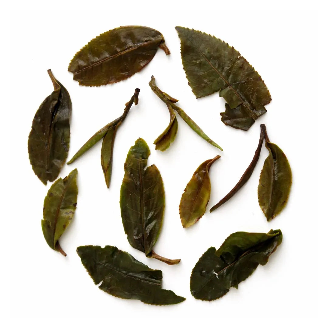 Iliós Bai Mu Dan White Tea