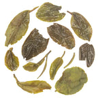 Iliós Spring Oolong Tea