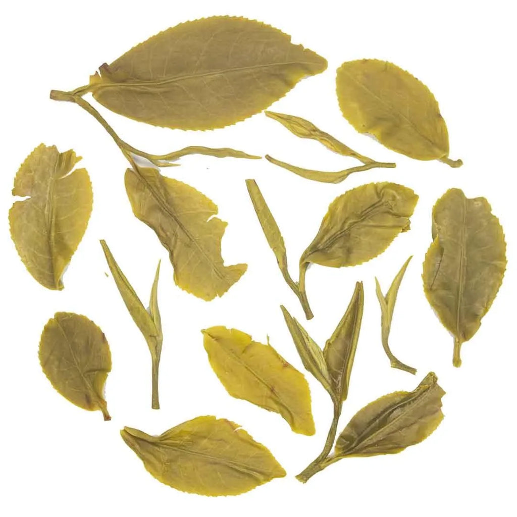 Iliós Yabukita Green Tea