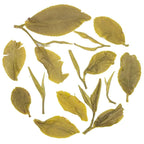 Iliós Yabukita Green Tea