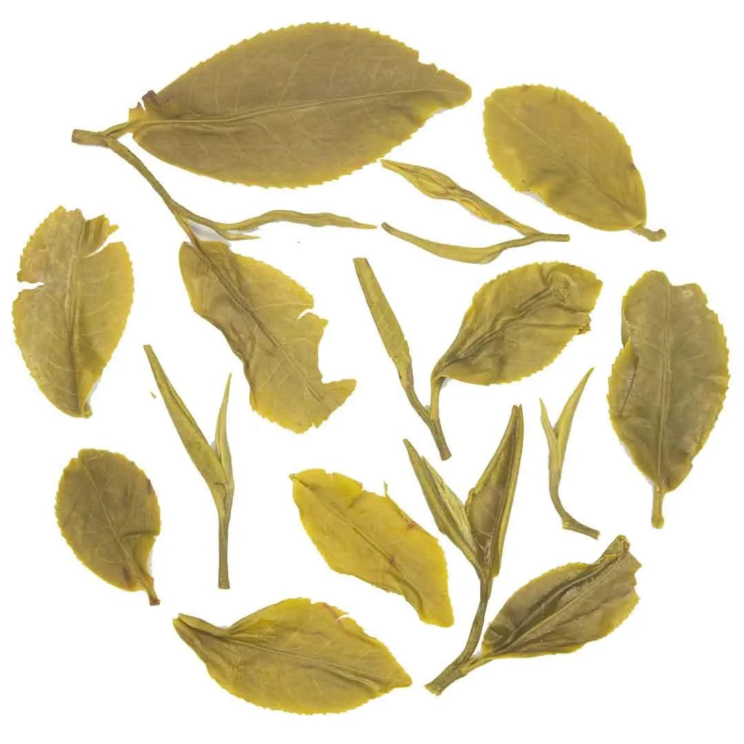 Iliós Yabukita Green Tea