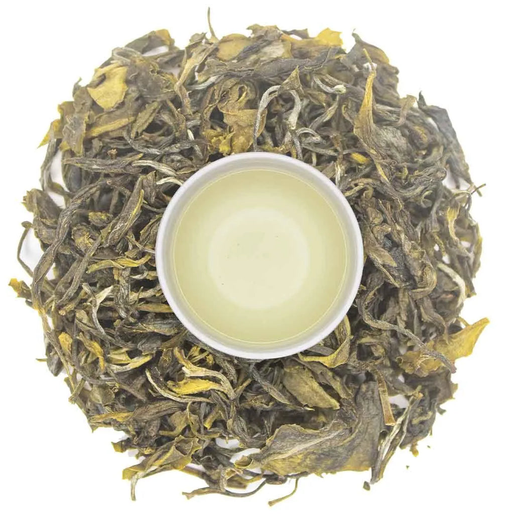 Iliós Yabukita Green Tea