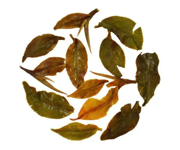 Iliós Silver Mist White Tea