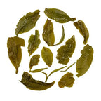Darjeeling Summer Green Tea