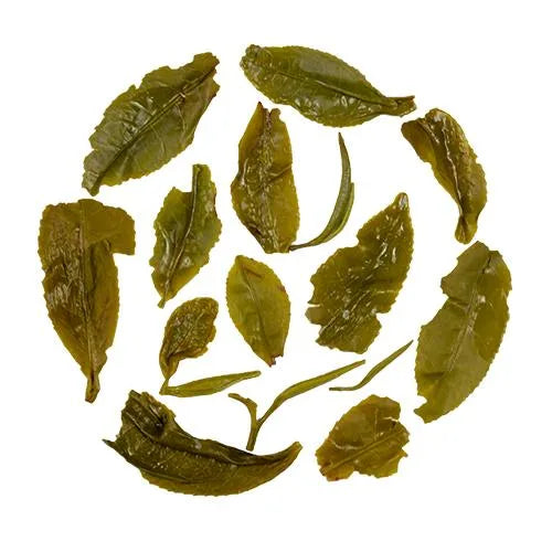 Darjeeling Summer Green Tea