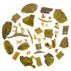 Iliós Tulsi Green Tea with Ginger & Lemongrass