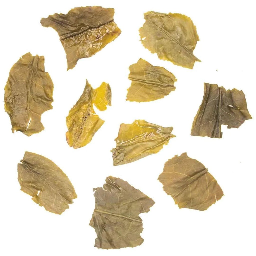 Darjeeling Whole Leaf Green Tea