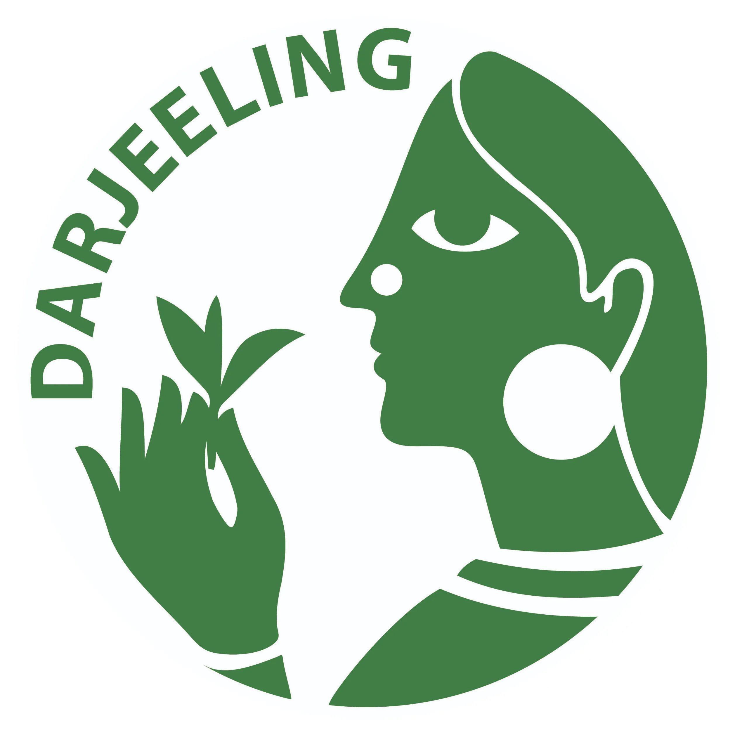 Absolute Darjeeling