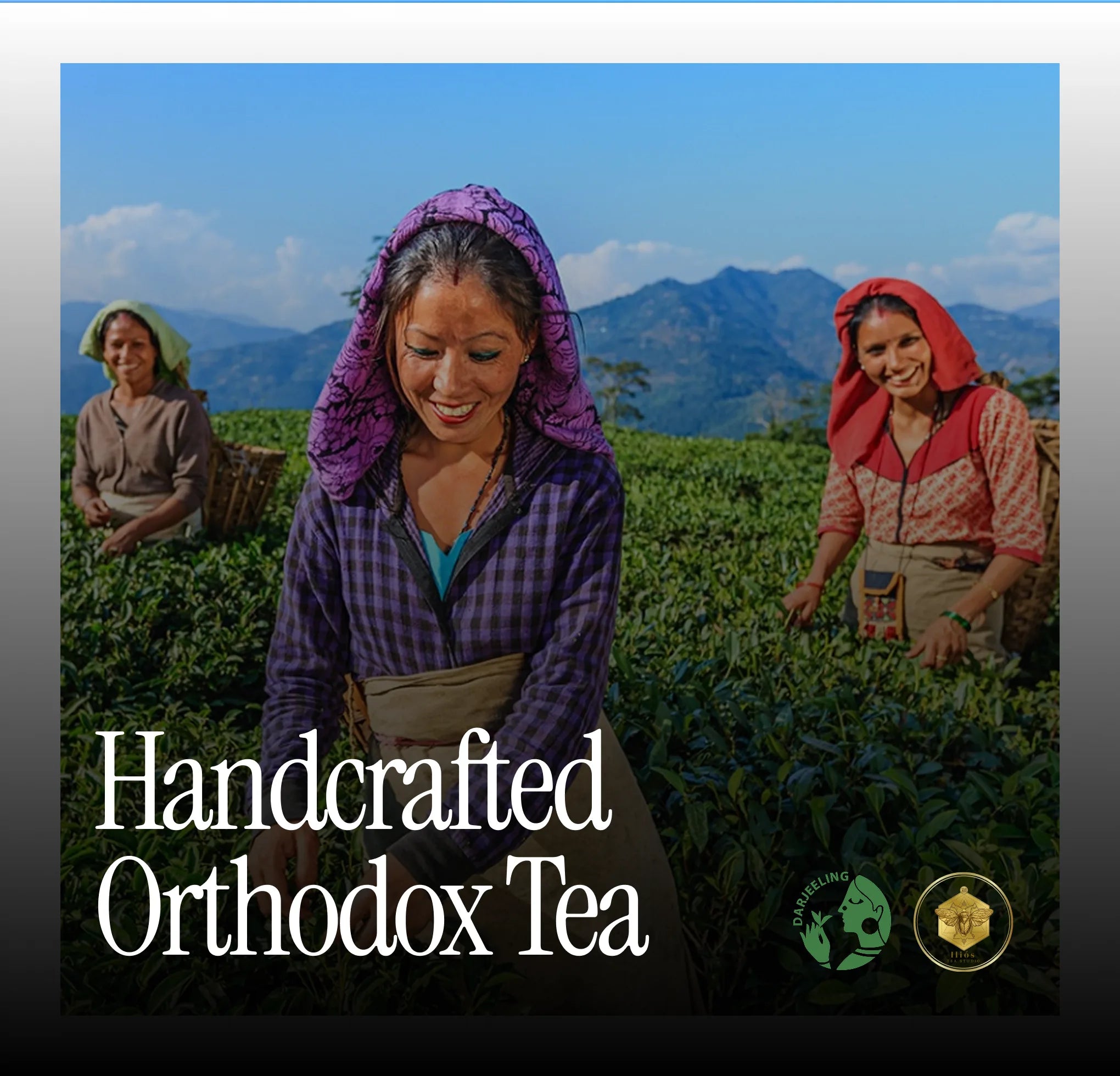 Iliós tea philosophy